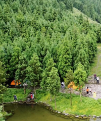 南川小众露营地二日游,耍水、搬螃蟹,还能在山中奔跑,好嗨森