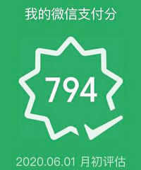 ��һ�η���΢��֧���֣���˵����Щ�ô������ж��ٷ֣�