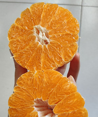 ������ˮ�����ܴ����ˮ�ֶ�һ���˶�ϲ��