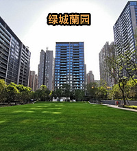 有人把西派城和蘭园作对比,我觉得西派城的对手不是蘭园是九章