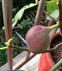 ���˼����£��ҵ��޻����������ˣ�ժ�����һ����ĺ���