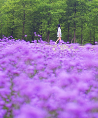 �벻���ɣ��Ǹ��������Ǳ�˵���ǡ����¡����������Ѿ�����������