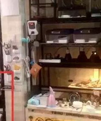 �ٷ��������������ʬ�����Թ���ɱ�˷�������ִ������