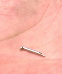 ţ������Ե������ͷ�����˵��æ