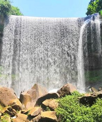 ������������Ұ���ٲ���������ȥ40������