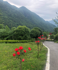 跑了100多公里,终于吃到这家烧烤,风景不错空气清新