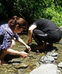仙女山搬螃蟹抓蝌蚪,水清澈凉快超级舒服,还住到了特色民宿