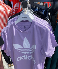 ϴ˹45ۣ159ĴֻҪ80һ