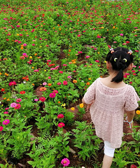 都知道牛栏坝有沙滩,你们知道还有片花海吗