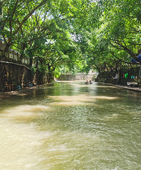 ȥ˹˹ˣˮ㣬˳ι򣬷Լ̫