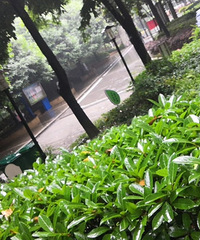 ס�ڹ�˾3������룬���ڳ�������ʲôʱ��