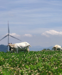 ���컹����ô���ط���С�ӹ��峺���ף����糵��ȺҲ̫�����