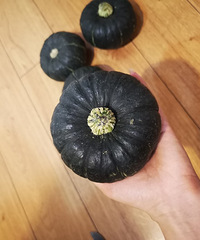 ��һ�������ְ����Ϲϣ����緹����ĺܰ�