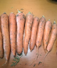 ��������9.9/5��ĺ��ܲ������Ժܴ���