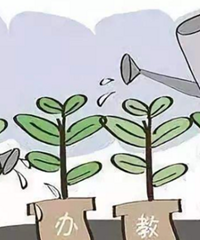 新政下民办学校为了生源百花齐放,几个事身边,看到民办学校状态