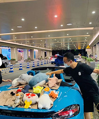 Ҫ�����������ȣ�ת�Գ���Ⱥ��