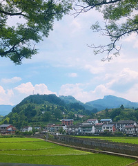 ����ȥ���⣬����Ҳ�к�����ԭʼɭ�ֳ�����