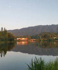 û��Ҳ������˵�߾��ߵ����У������³��˽�һ�£�����������