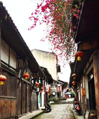 1Сʱ���Ĵ��ӹ��򣬶����ݾ��ˣ����ܶ���ӵ��һƬ����