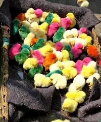 ��˵ÿ��������Сʱ��������Щ���������������˼���