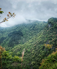 ���������ӳ�����޶�������������㣬��Ӿ��Ұ�����տ�