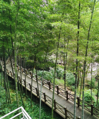 坐公交去巴南,从山上耍到山下,住环境超好的民宿还吃到特色美食