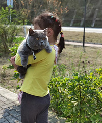 �Ҽҵ�С����һ��Ҳ��������İ���˶��������rua