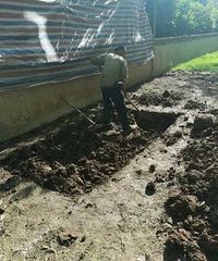 �ӿ����������ı仯��180ƽͥԺʩ����¼