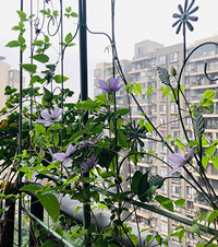 �ս���̨���ʺ����������ˣ��̶�2���£����ǵ��ʸ�����ǿ