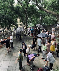 重庆人民公园的花鸟市场去哪了?关闭搬迁2个月后,变成了这样
