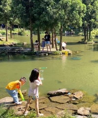 �������ȣ������ܱ���9������������ˣ���ĩ�ͳ���