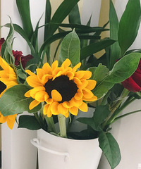 ��ÿ����ĳ�����ڹ������л���ϰ�ߣ��۸���20��Ԫ��Ʒ�ʻ�����