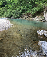 ĩˣˮ¶ӪȥϴҤ壬ˮʸɾũҲ˻ó