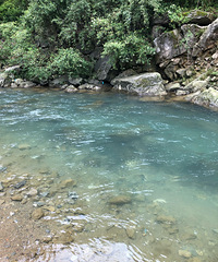 �����ܱ߱���أ���������ȥ����