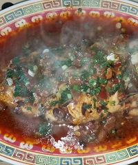 �ճ����顾����Ů��NO.1