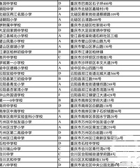 2019年全国青少年校园网球特色学校名单,重庆31所学校入选