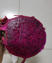 �ٴλع��óԵ���ң��������������ʱ�