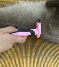又到了一年一度的猫毛采摘季,看看我用猫毛搓的毛线还不错吧?