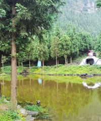 在这露营可以住“湖景房”和“松林房”,风景绝了,还不收费
