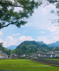 ����ȥ���⣬����Ҳ�к�����ԭʼɭ�֣����ճ�����