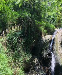 坐轻轨去加勒比水世界,意外发现一条不错的南山路,耍水看小瀑布