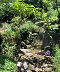 坐轻轨去加勒比水世界,意外发现一条不错的南山路,耍水看小瀑布