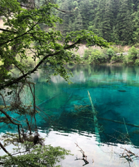 ֱ���Լݾ�կ����������ʳ�С�˺ܶ࣬�������е����ĺۼ�