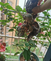 ����յ���û�£��񶼽���������С����