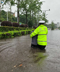 ���ݷ��������ɫԤ�����ö೵�Ӷ�������