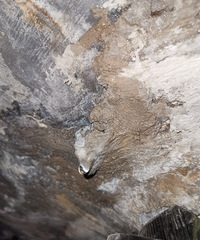 ¥ˮ©Ҽˣڿȴûлˮ