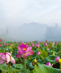 ������ȫ���ͺɻ���ͼ���ˣ����˻����£���Щ�ط��ĺɻ�Ҳ����