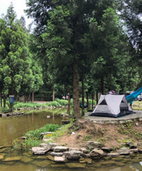 �·�����ĩ¶Ӫ��ˣˮ��ȥ����������������ѣ�ũ�����Լ۱ȸ�