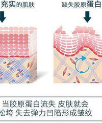 2020ˣ˿㲹佺ԭ׿˥