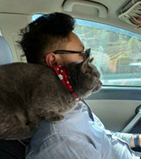 �����Ҽҡ����⡱�Լ������ϣ�����һ���߹���ء��������ڳ�